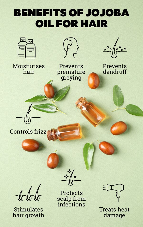 FAQs on jojoba oil for hair FAQs on jojoba oil for hair