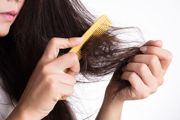 FAQs on jojoba oil for hair FAQs on jojoba oil for hair