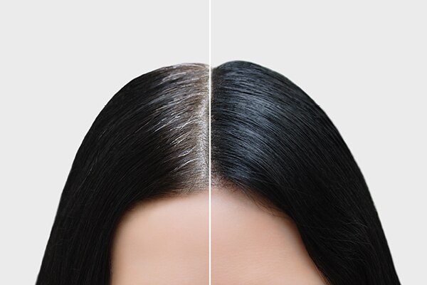 FAQs on jojoba oil for hair FAQs on jojoba oil for hair