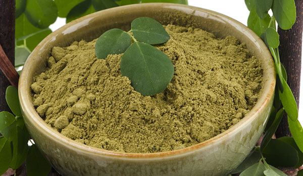 7 REASONS WHY MORINGA IS THE NEW SUPERFOOD YOU NEED TO INCLUDE IN YOUR DIET