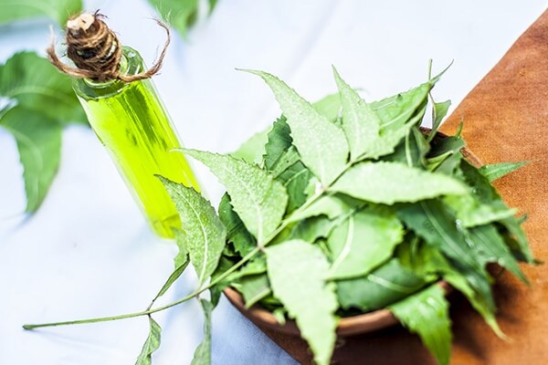 7. To relieve muscle and joint pain 7. To relieve muscle and joint pain