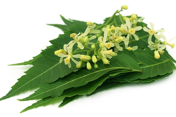 7. To relieve muscle and joint pain 7. To relieve muscle and joint pain