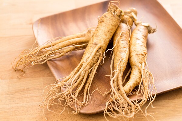 Ginger Ginger