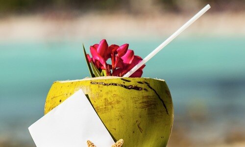 your go to drink this summer 500x300 your go to drink this summer 500x300